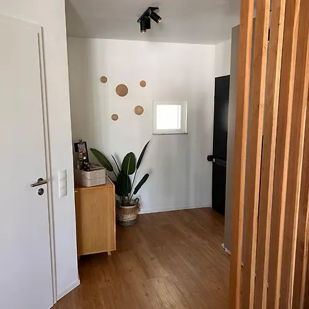 Ruhiges Designer In Zentrum & Rheinnaehe *